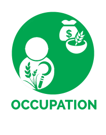 C:\Users\User\Downloads\2. Occupation.png